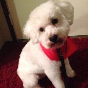 Meet your Posher, Eddie